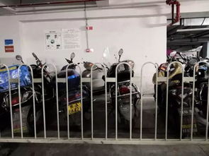 花果園停車場服務提升進行時 分區停放、油電分離與導視優化